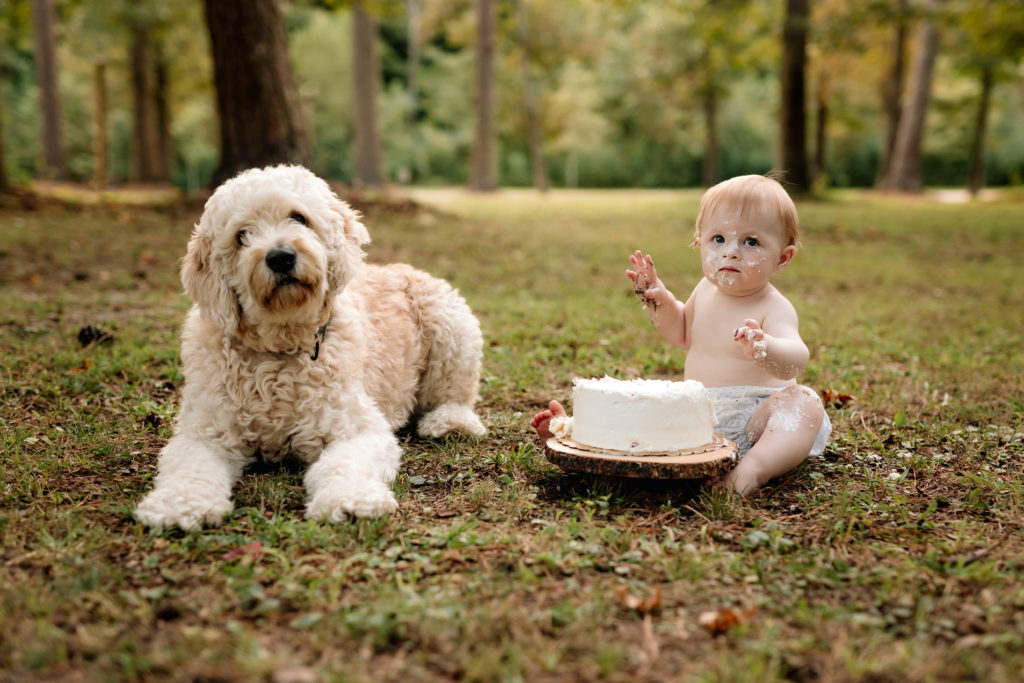 Smash Cake Sessions including family pets